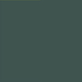 Blue Spruce